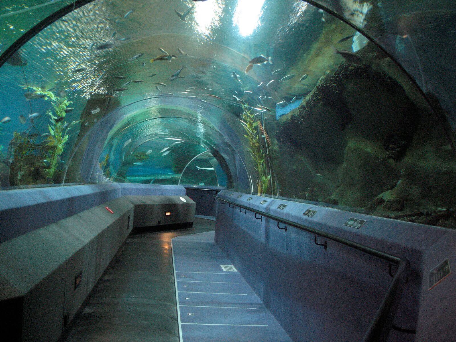 Under The New Zealand National Aquarium Ben Hamilton Hvac Renewal Aquair